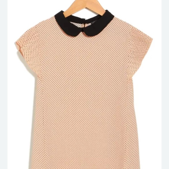 Adrianna Papell Peter Pan collar flutter sleeve NWT preppy blouse. Size medium - Picture 1 of 3